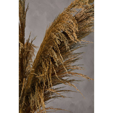 Orsina Blue Tall Pampas Grass Stem – Bendable Dried Floral Decor