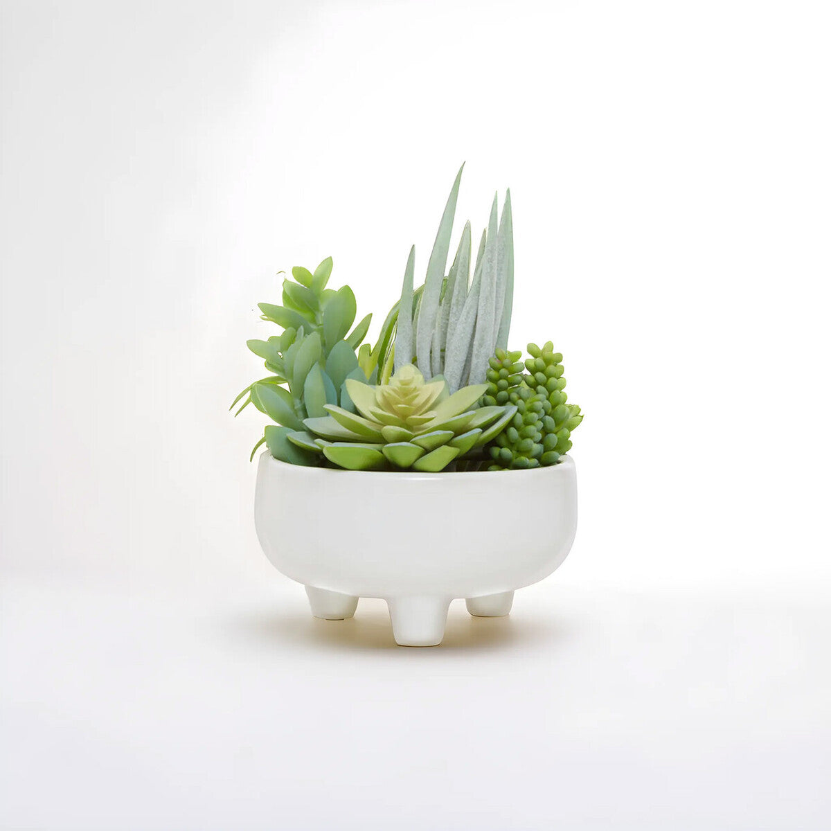 Orsina Fiori Mixed Artificial Succulents in Large White Ceramic Pot