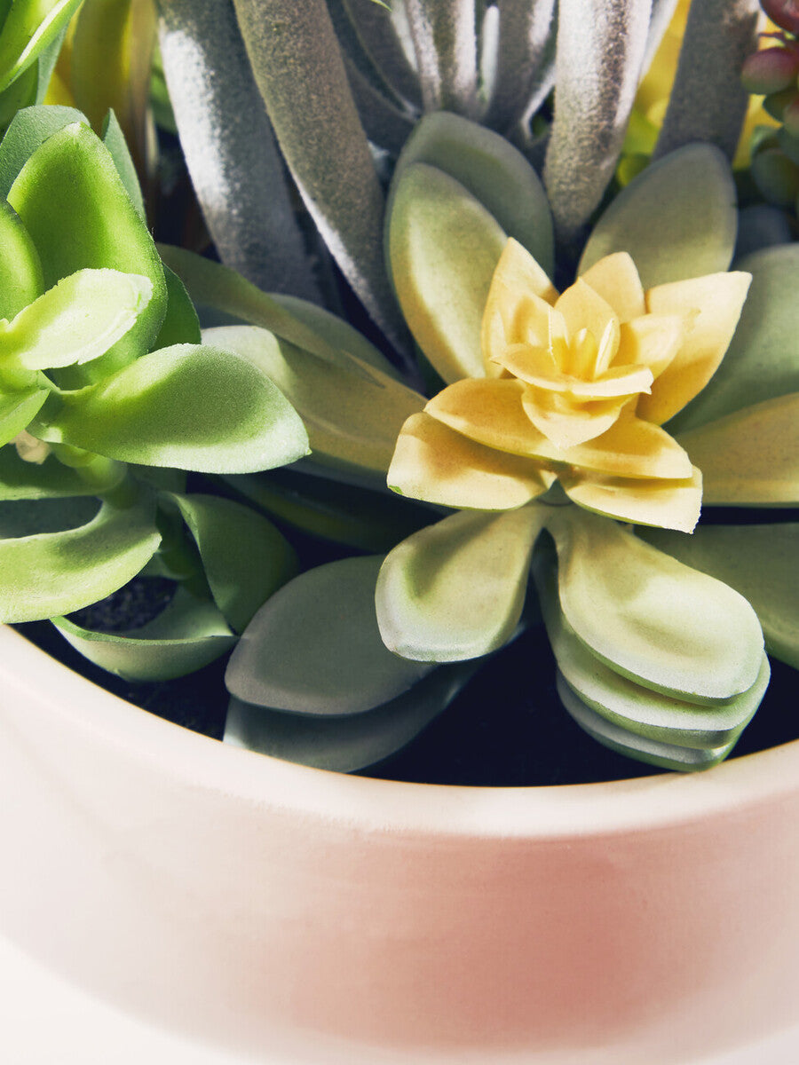 Orsina Fiori Mixed Artificial Succulents in Large White Ceramic Pot