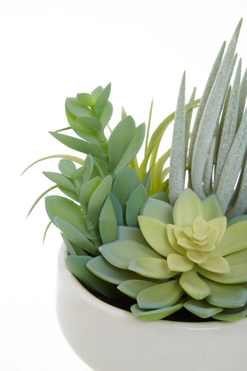 Orsina Fiori Mixed Artificial Succulents in Large White Ceramic Pot
