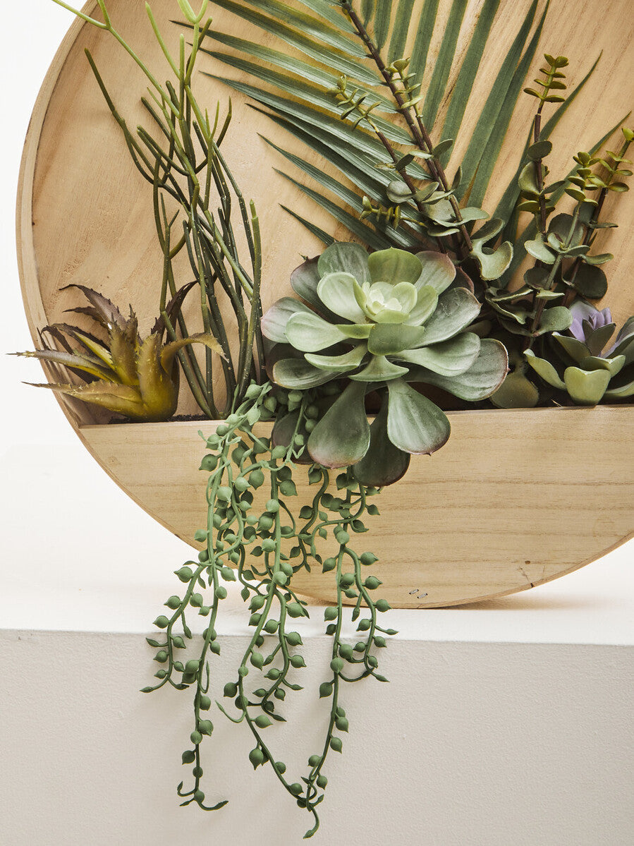 Orsina Fiori Mixed Succulents | Round Wood Wall Planter Decor