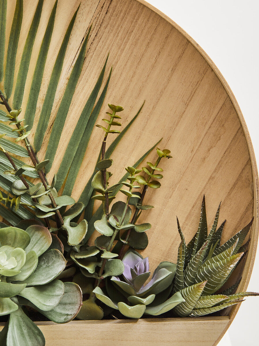 Orsina Fiori Mixed Succulents | Round Wood Wall Planter Decor