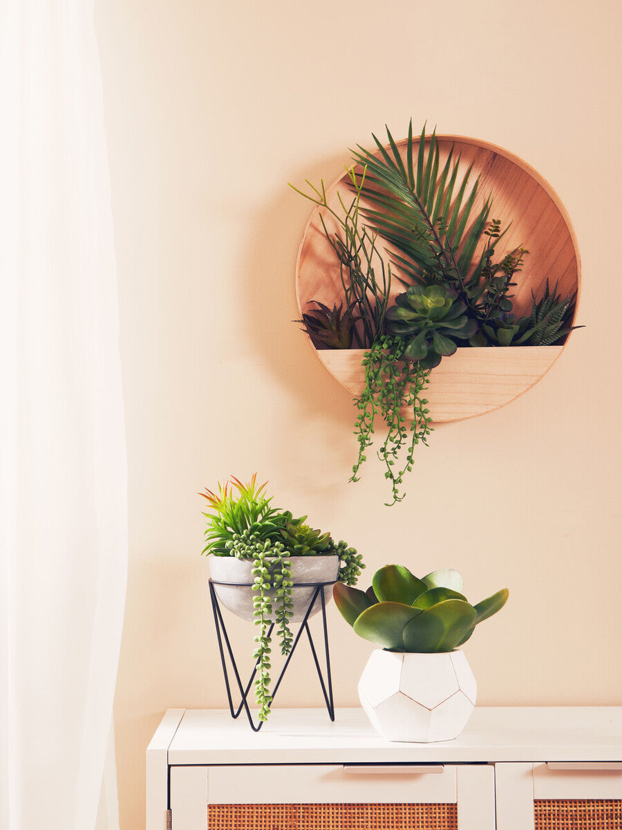 Orsina Fiori Mixed Succulents | Round Wood Wall Planter Decor