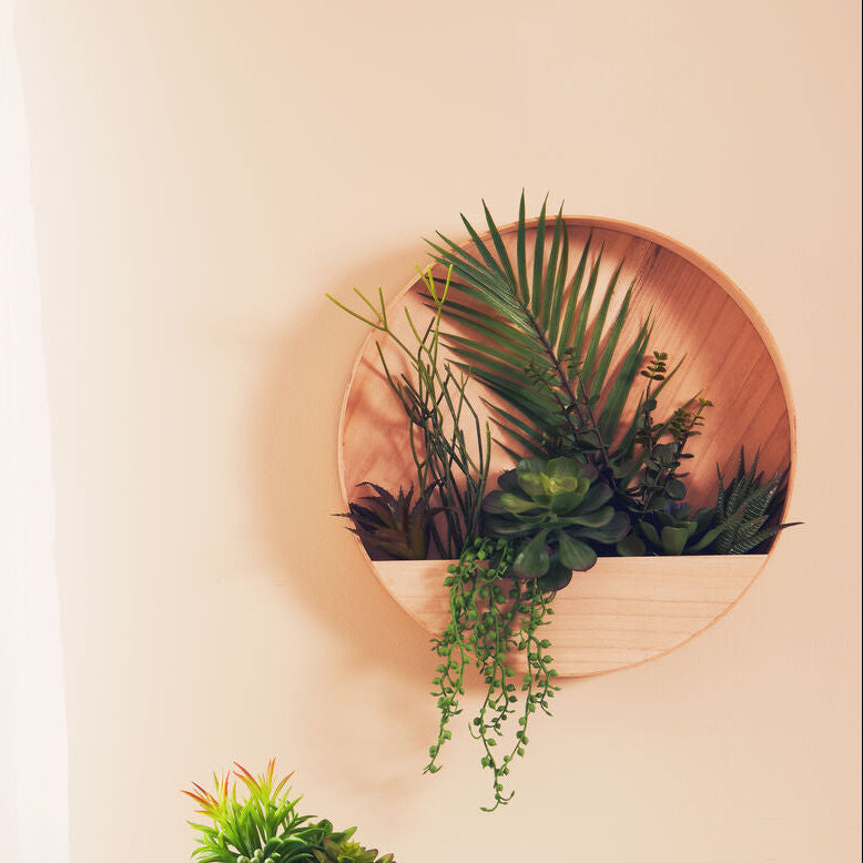 Orsina Fiori Mixed Succulents | Round Wood Wall Planter Decor