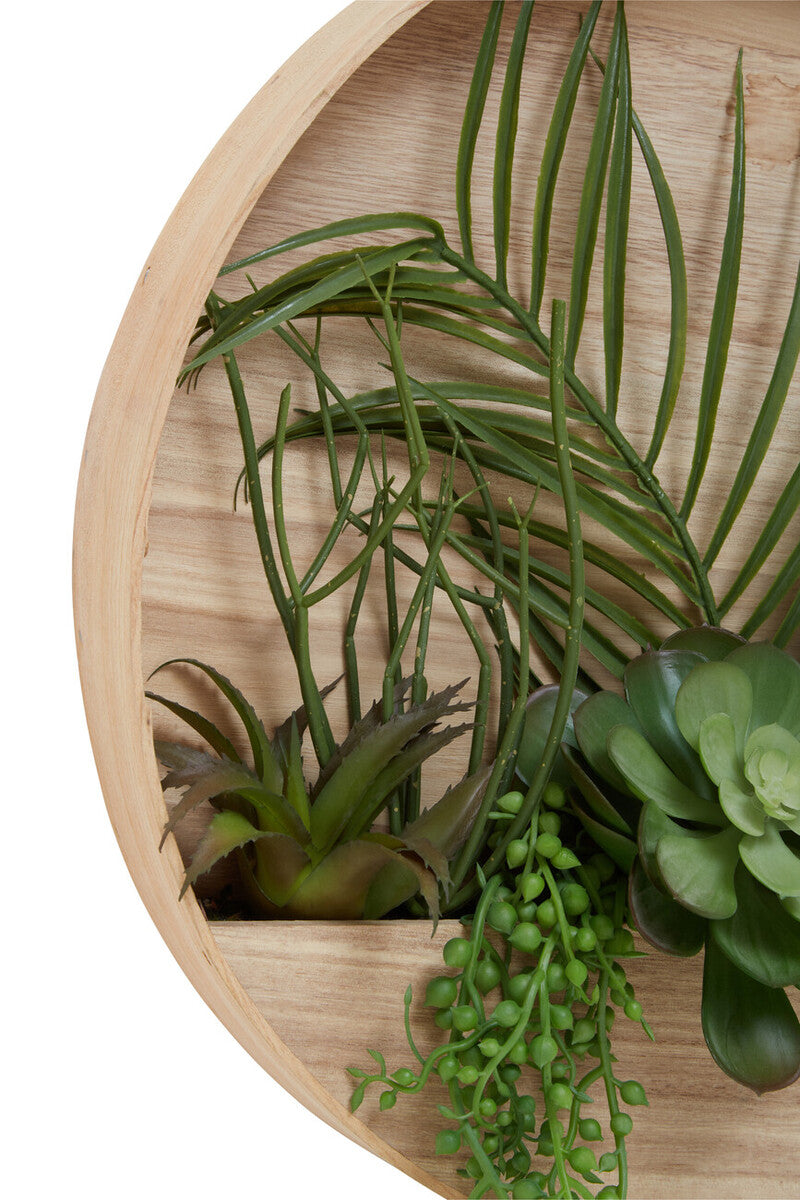 Orsina Fiori Mixed Succulents | Round Wood Wall Planter Decor