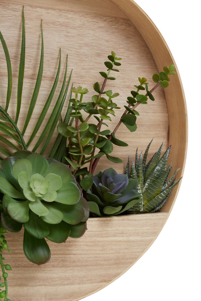 Orsina Fiori Mixed Succulents | Round Wood Wall Planter Decor