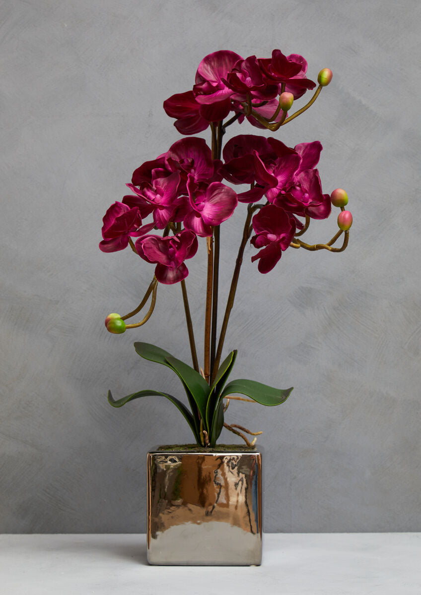 Orsina Fiori Purple Orchid Artificial Plant in Silver Square Pot