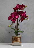 Orsina Fiori Purple Orchid Artificial Plant in Silver Square Pot