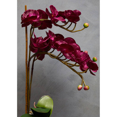 Orsina Fiori Purple Orchid Artificial Plant in Silver Square Pot