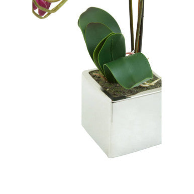 Orsina Fiori Purple Orchid Artificial Plant in Silver Square Pot