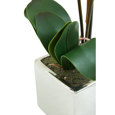 Orsina Fiori Purple Orchid Artificial Plant in Silver Square Pot