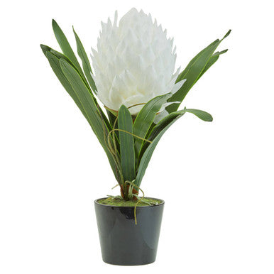 Orsina Fiori White Tropical Artificial Plant in Black Ceramic Pot