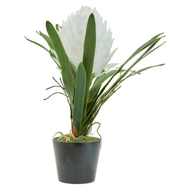 Orsina Fiori White Tropical Artificial Plant in Black Ceramic Pot