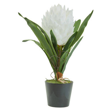 Orsina Fiori White Tropical Artificial Plant in Black Ceramic Pot