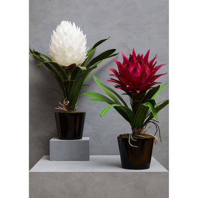 Orsina Fiori White Tropical Artificial Plant in Black Ceramic Pot