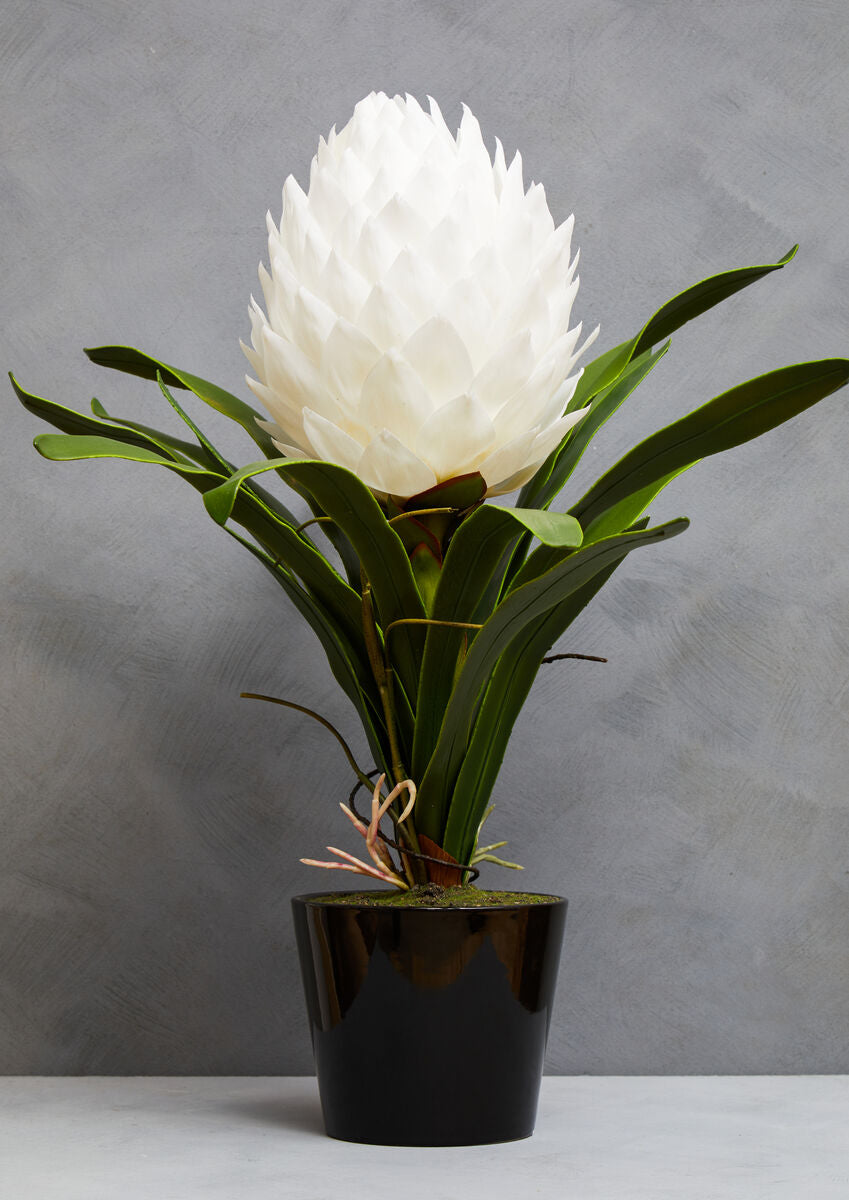 Orsina Fiori White Tropical Artificial Plant in Black Ceramic Pot