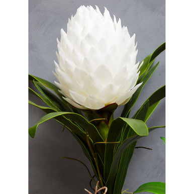 Orsina Fiori White Tropical Artificial Plant in Black Ceramic Pot