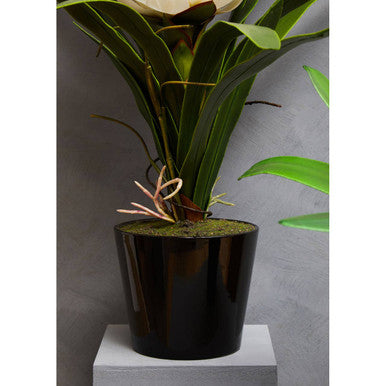 Orsina Fiori White Tropical Artificial Plant in Black Ceramic Pot