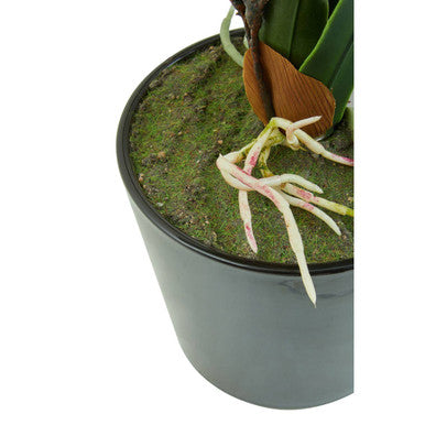 Orsina Fiori White Tropical Artificial Plant in Black Ceramic Pot