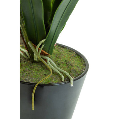 Orsina Fiori White Tropical Artificial Plant in Black Ceramic Pot