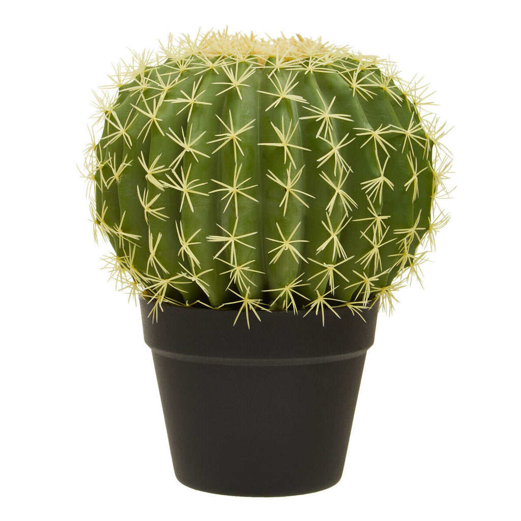 Orsina Fiori Round Faux Cactus in Pot – Lifelike Desert Home Decor