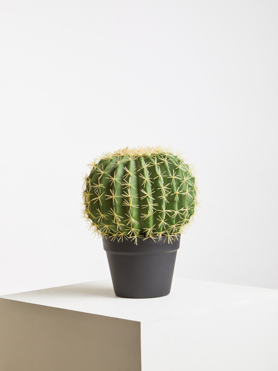 Orsina Fiori Round Faux Cactus in Pot – Lifelike Desert Home Decor