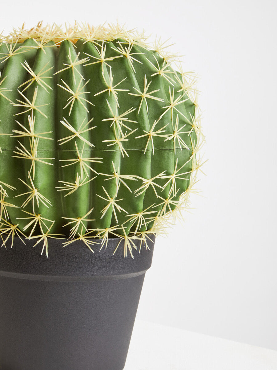 Orsina Fiori Round Faux Cactus in Pot – Lifelike Desert Home Decor