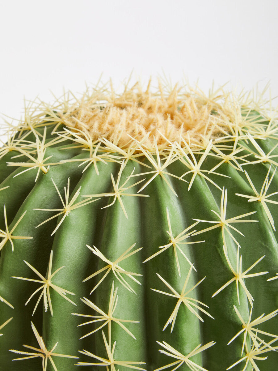 Orsina Fiori Round Faux Cactus in Pot – Lifelike Desert Home Decor