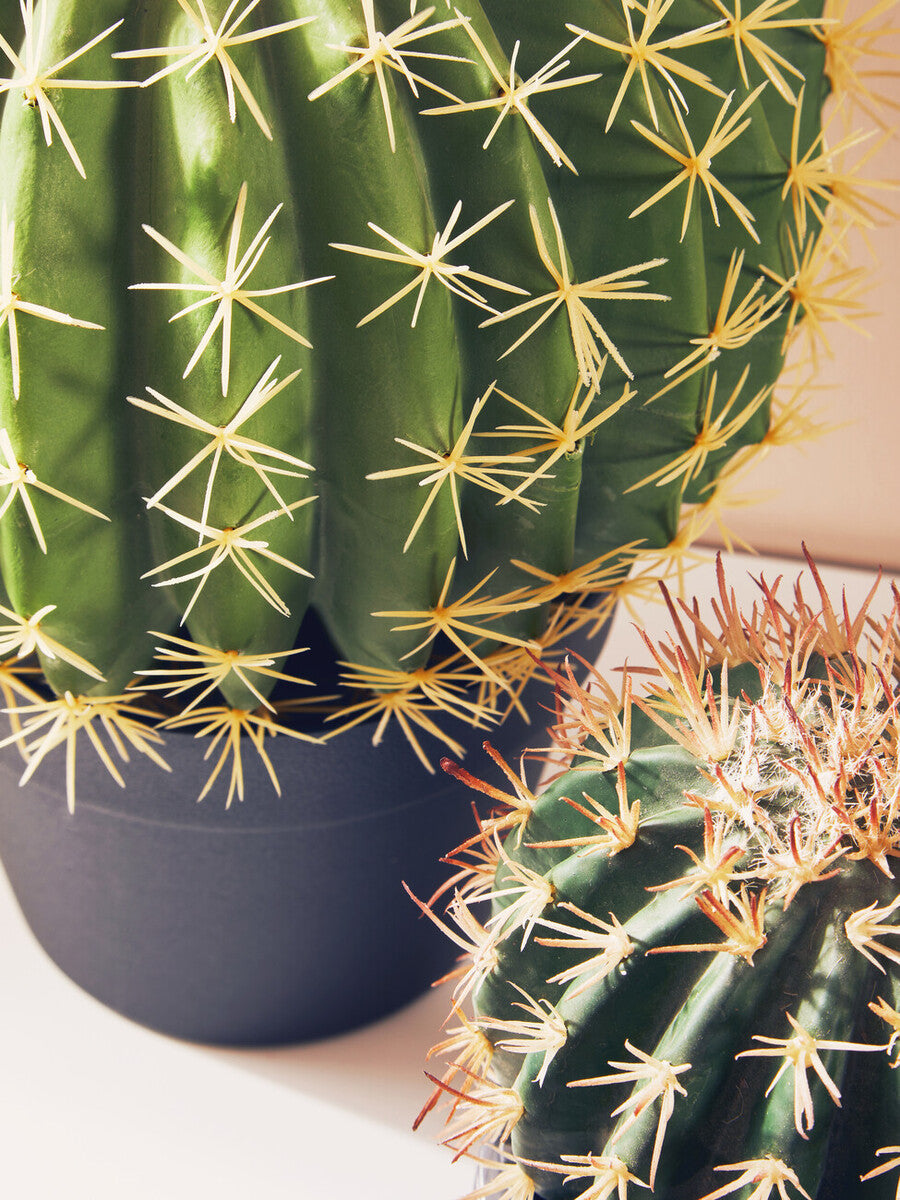 Orsina Fiori Round Faux Cactus in Pot – Lifelike Desert Home Decor