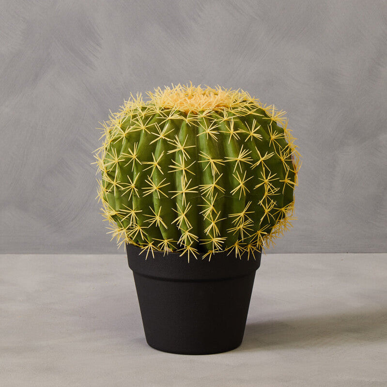 Orsina Fiori Round Faux Cactus in Pot – Lifelike Desert Home Decor