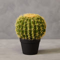 Orsina Fiori Round Faux Cactus in Pot – Lifelike Desert Home Decor