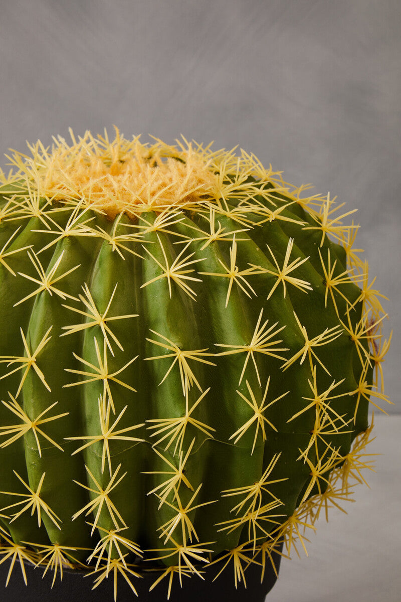 Orsina Fiori Round Faux Cactus in Pot – Lifelike Desert Home Decor
