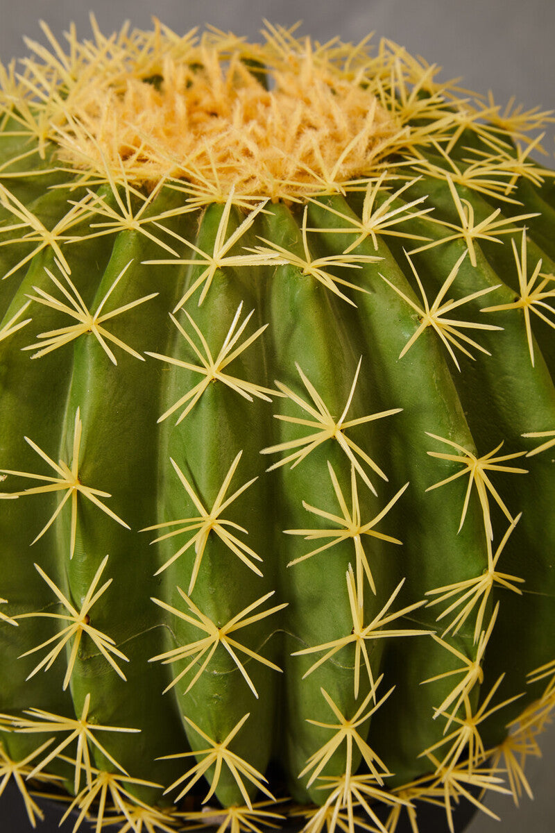 Orsina Fiori Round Faux Cactus in Pot – Lifelike Desert Home Decor