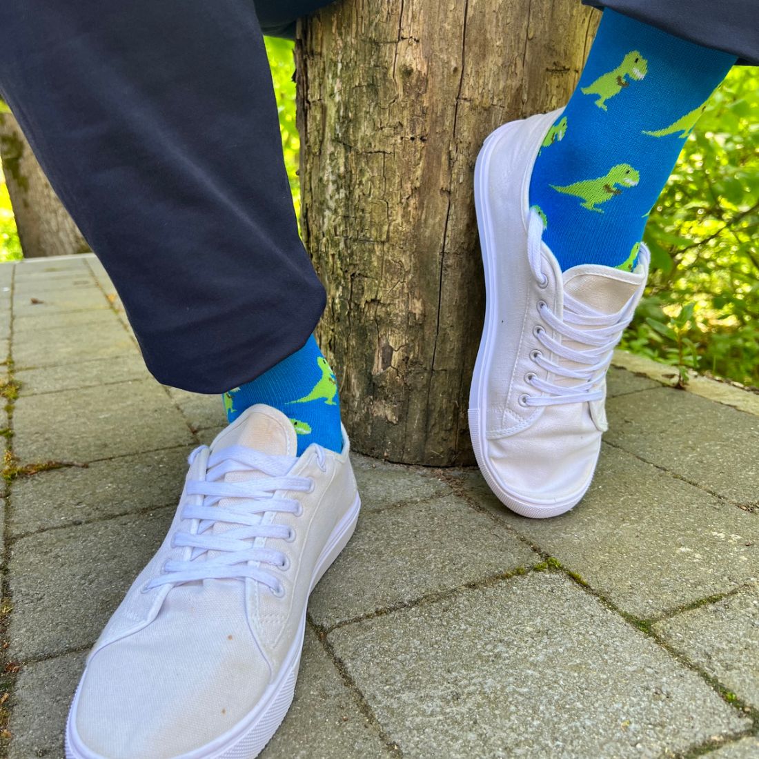 Swole Panda T-Rex Bamboo Socks – Soft and Durable Novelty Dinosaur Socks