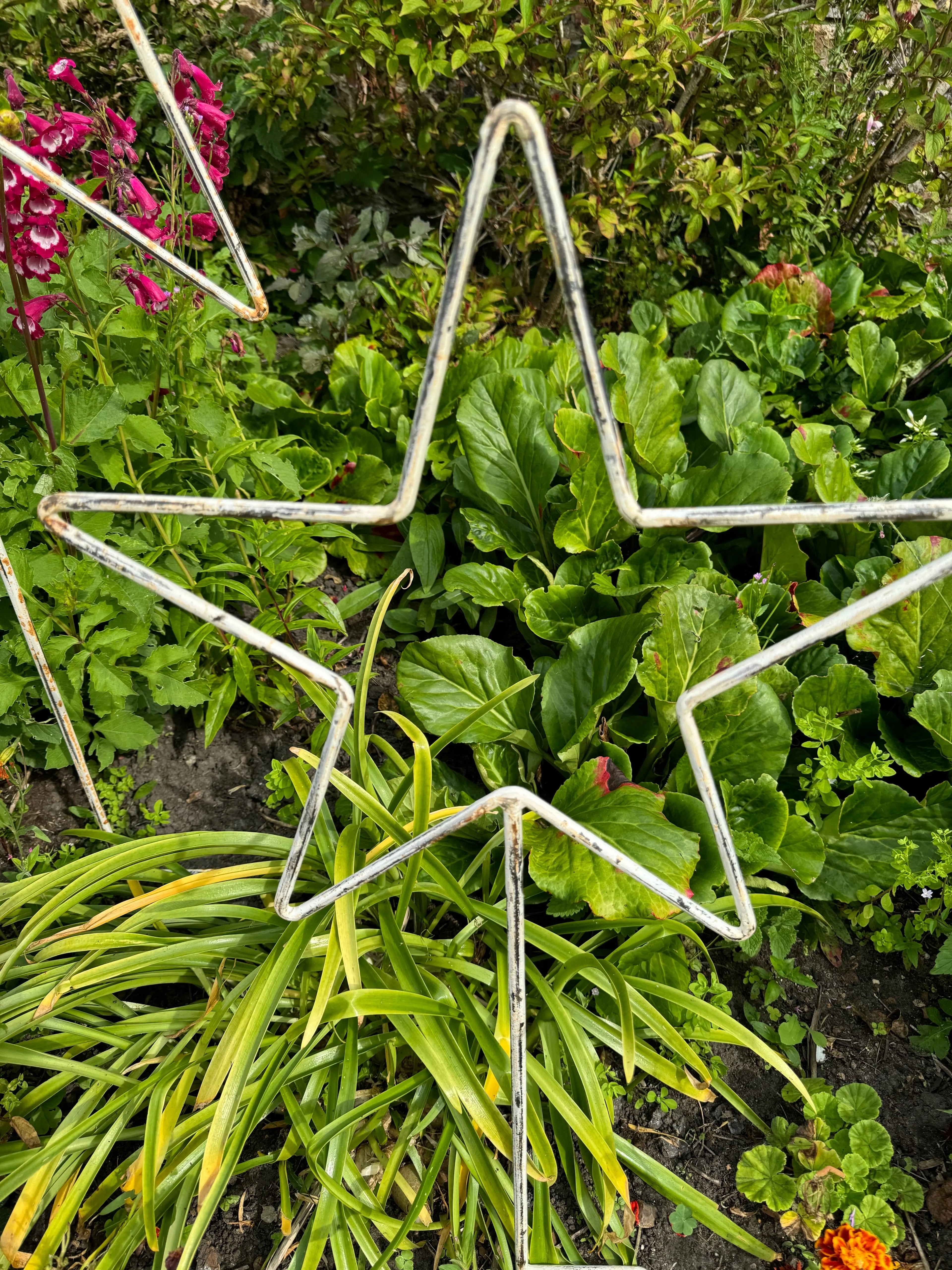 Rustic Warehouse Norfolk Metal Garden Star Lawn Decor – Distressed Cream
