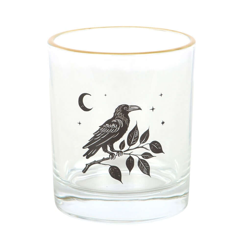 Kate's Clothing Mystic Raven Gothic Drinking Glass - 350ml Celestial Cup