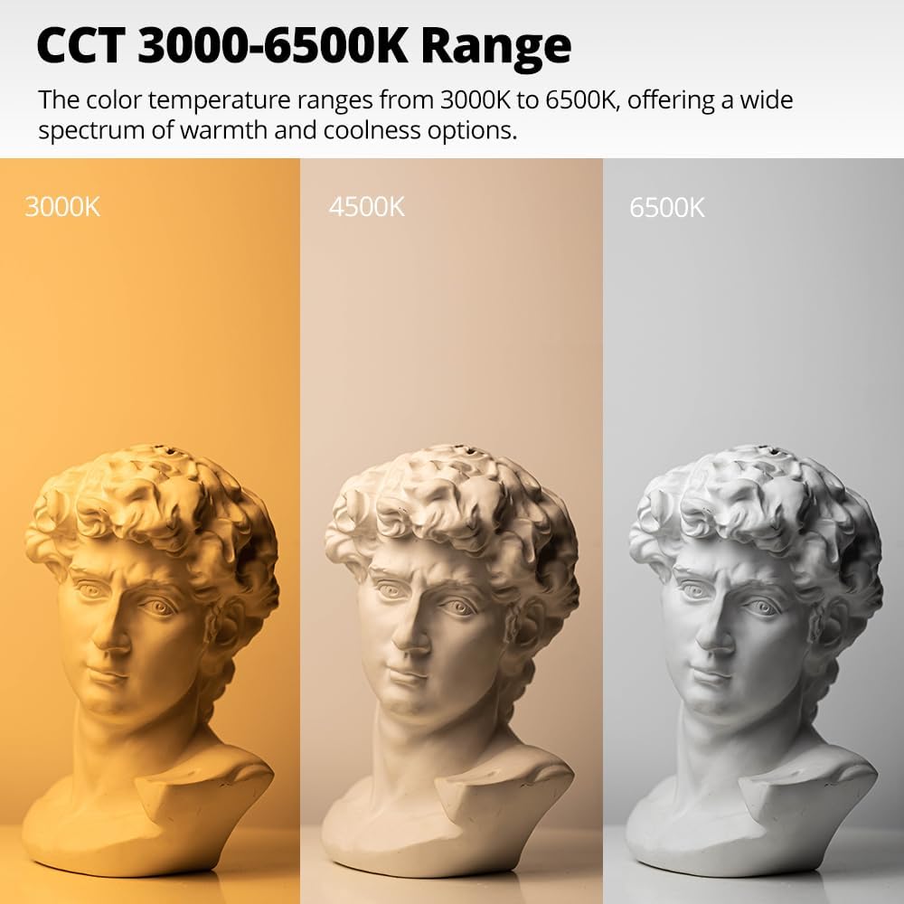AMBITFUL AL-50 50W Bi-Color LED Softbox Studio Photography Lighting Kit