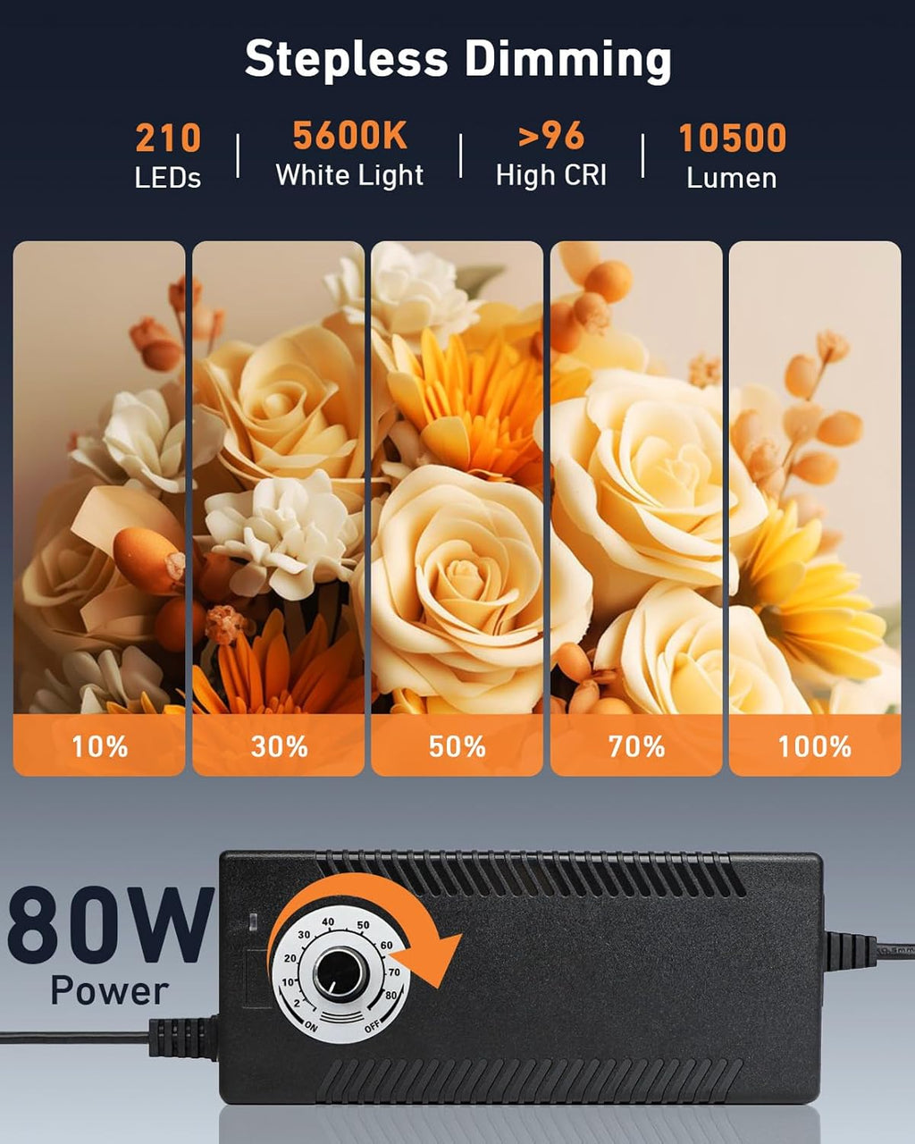 DUCLUS 80cm Photography Light Box | 5600K Dimmable LED Studio with 6 Backdrops