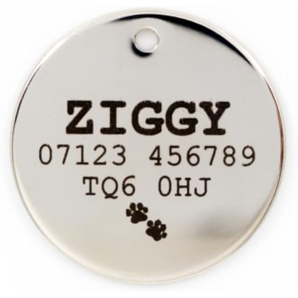 Personalized Engraved Glitter Paw Print Pet ID Tag - Light Pink