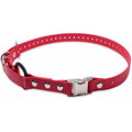 Educator Quick Snap Bungee Dog Collar | 1-Inch Biothane, Red, 33"