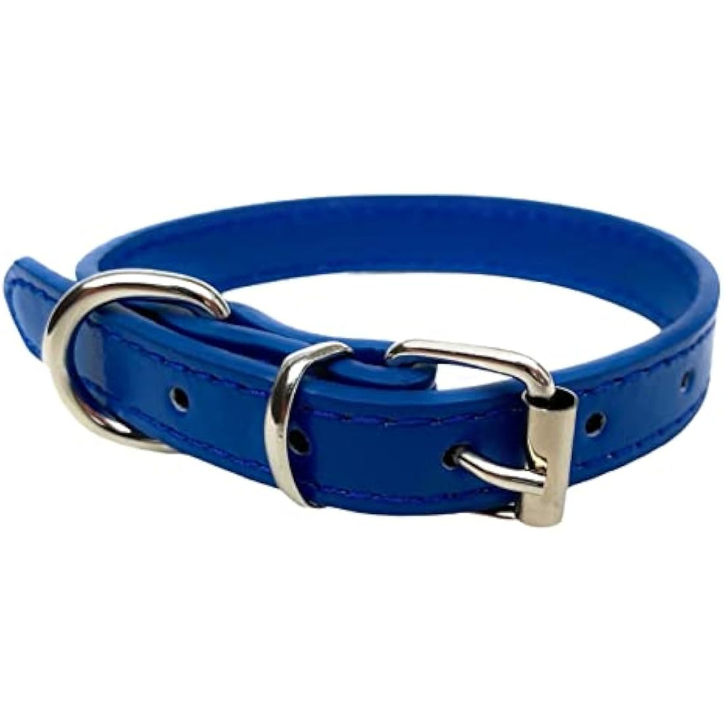 Vibrant Leather Dog Collar – Durable Pet Neck Strap, Blue