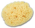 Jolof Store Greek Silk Natural Sea Sponge – Large 6-6.5 Inch Bath Sponge