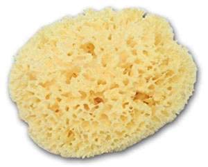 Jolof Store Greek Silk Natural Sea Sponge – Large 6-6.5 Inch Bath Sponge