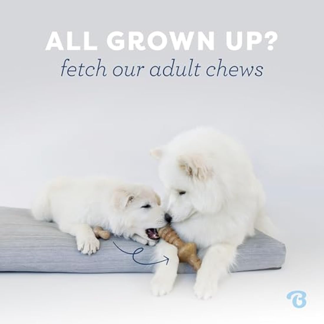 Benebone Puppy Wishbone Dog Chew Toy – Real Bacon Flavor Teething Toy