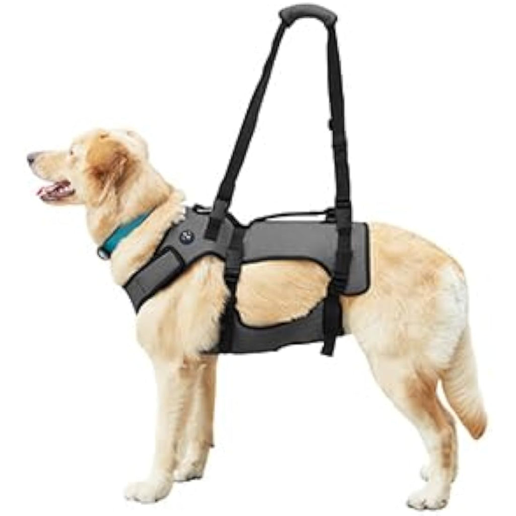 Coodeo Dog Lift Harness | Full Body Support Recovery Sling - Grey, 2XL