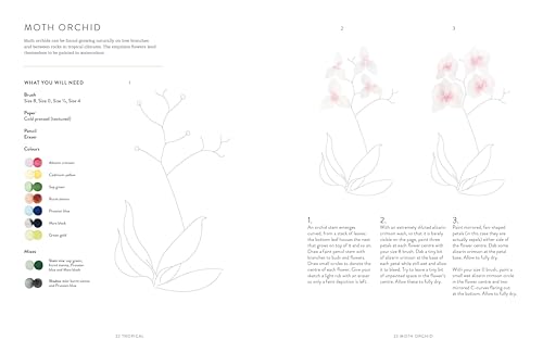 Watercolour Painting Guide: Birds, Bees & Blossoms by