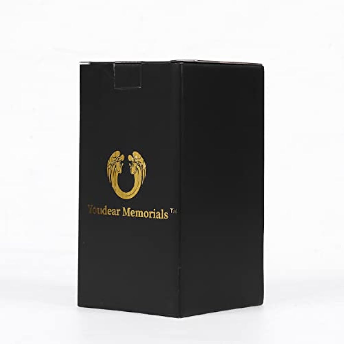 Pet Memorial Urn – Stainless Steel Paw Print Keepsake