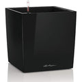LECHUZA CUBE Premium 50 Self-Watering Planter | Black High Gloss