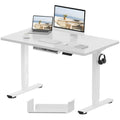 FlexiSpot E1 Plus Electric Standing Desk - 120x60cm Maple & White
