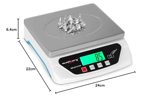 Steinberg Basic Digital Letter Scale - 25 kg / 1 g - Stainless Steel